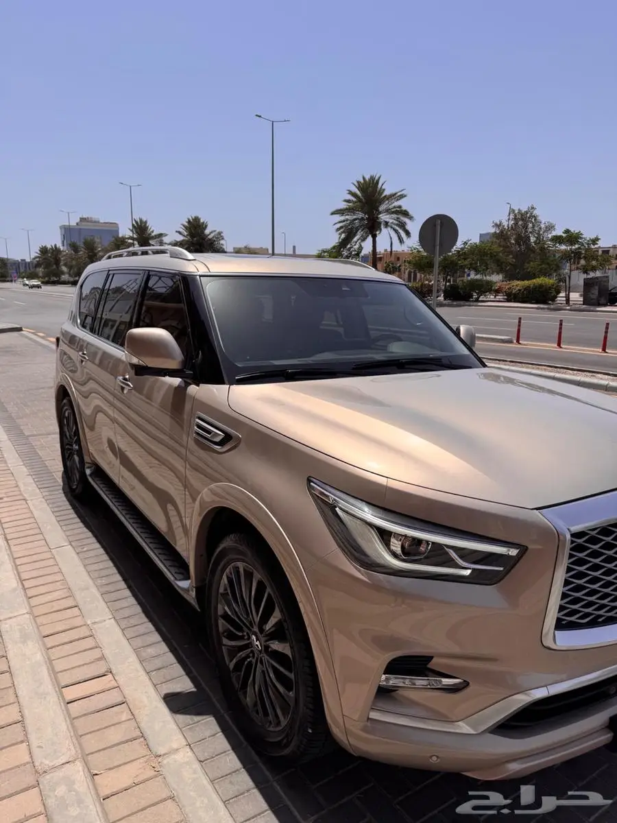 انفنتي QX80 2023 برواكتيف 1