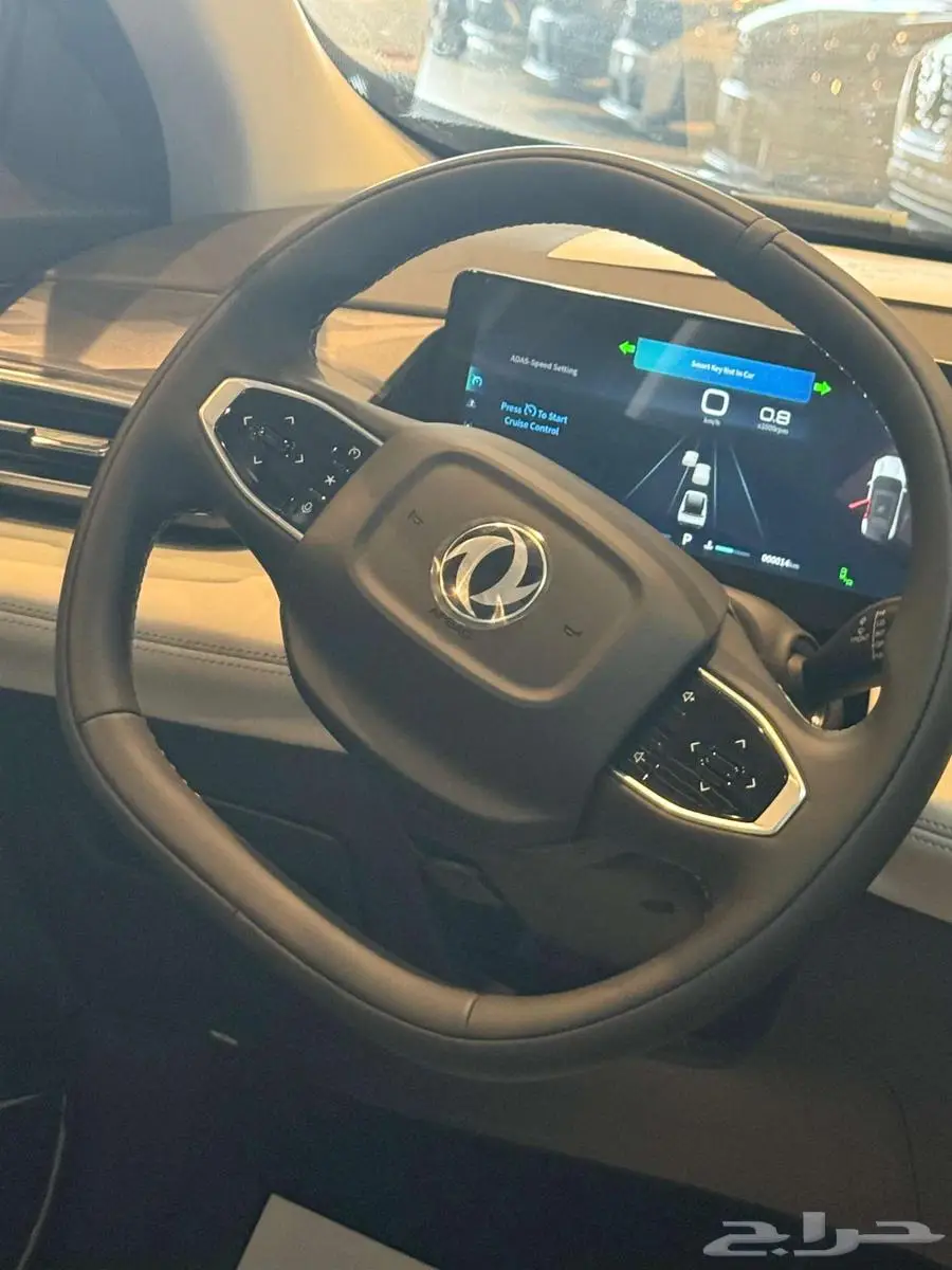 دونج فينج ميج 2025 15
