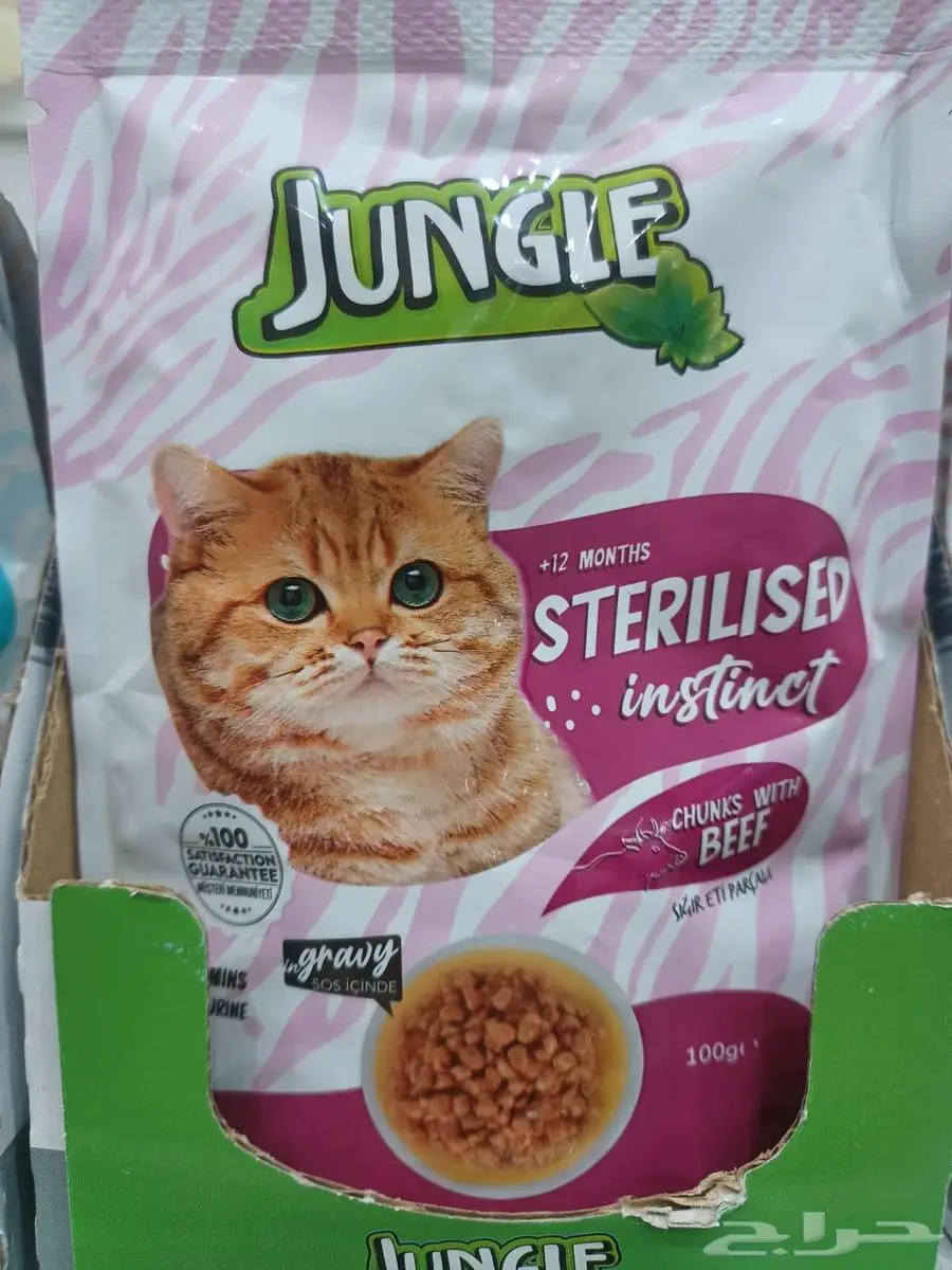 عروض اكل قطط جنقل وغيرها 5