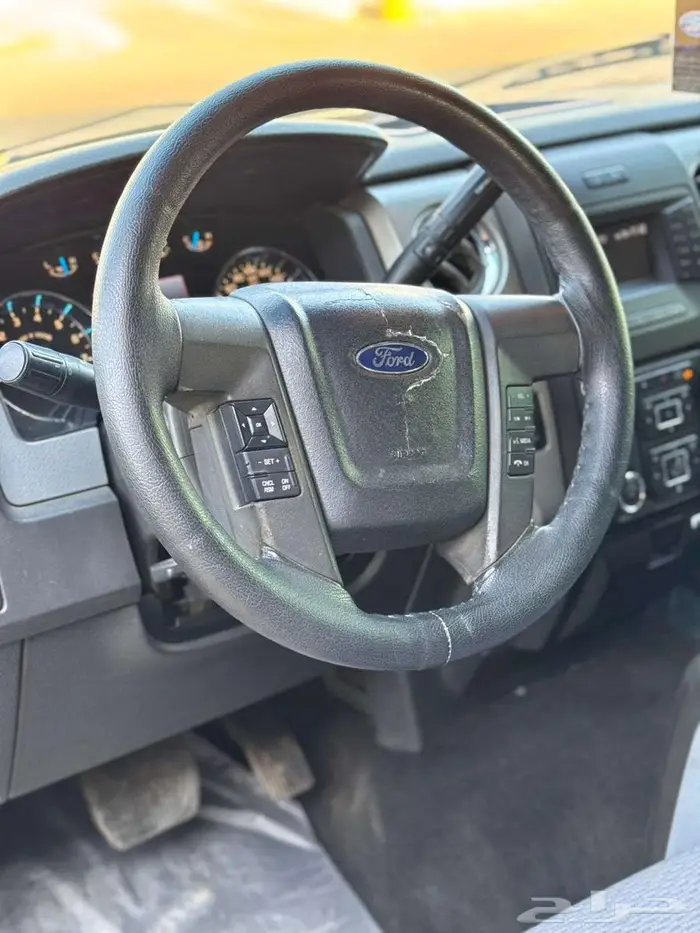 فورد غمارتين 2013 F150 14