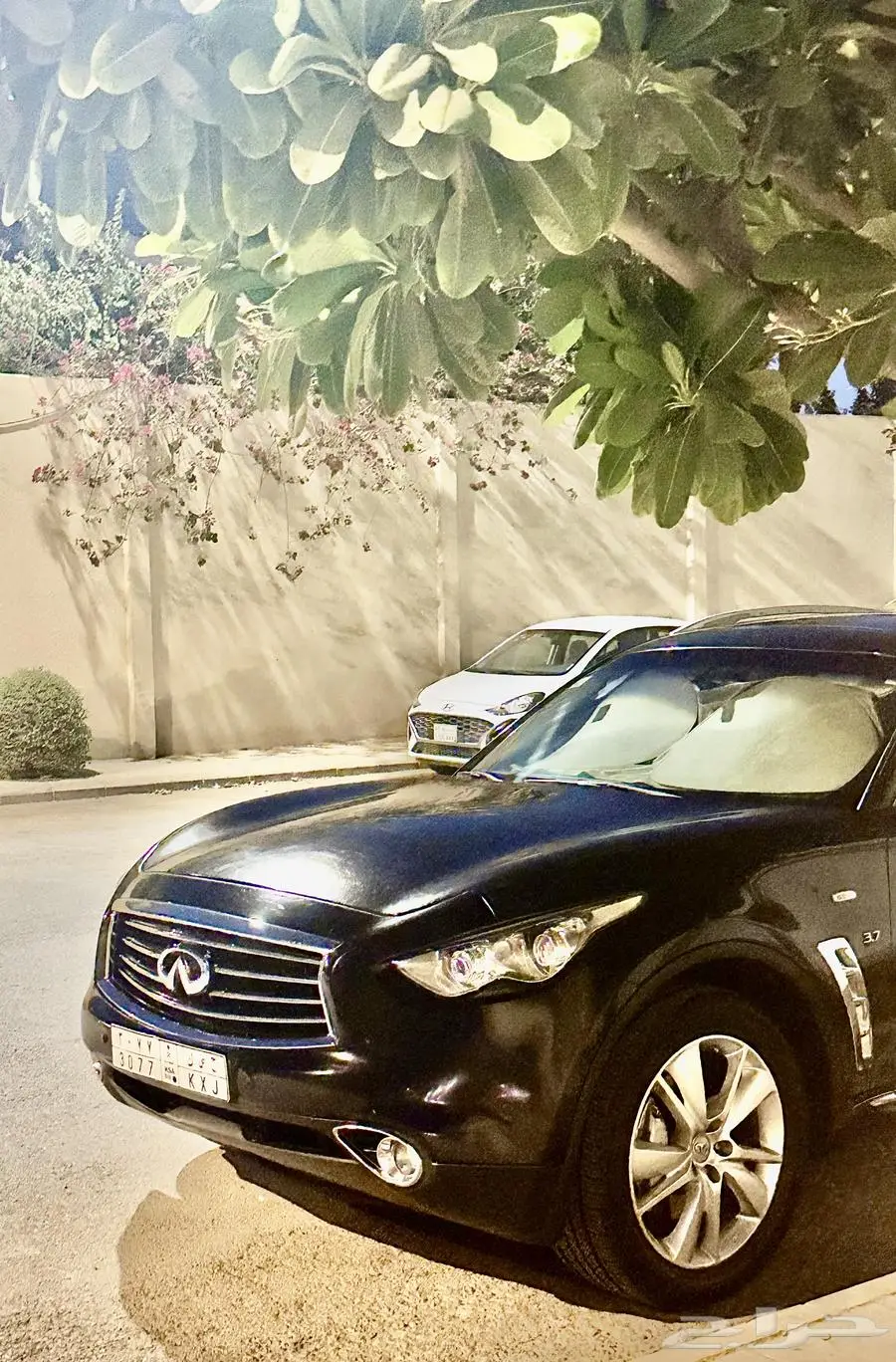 انفنتي 2014 QX70 0