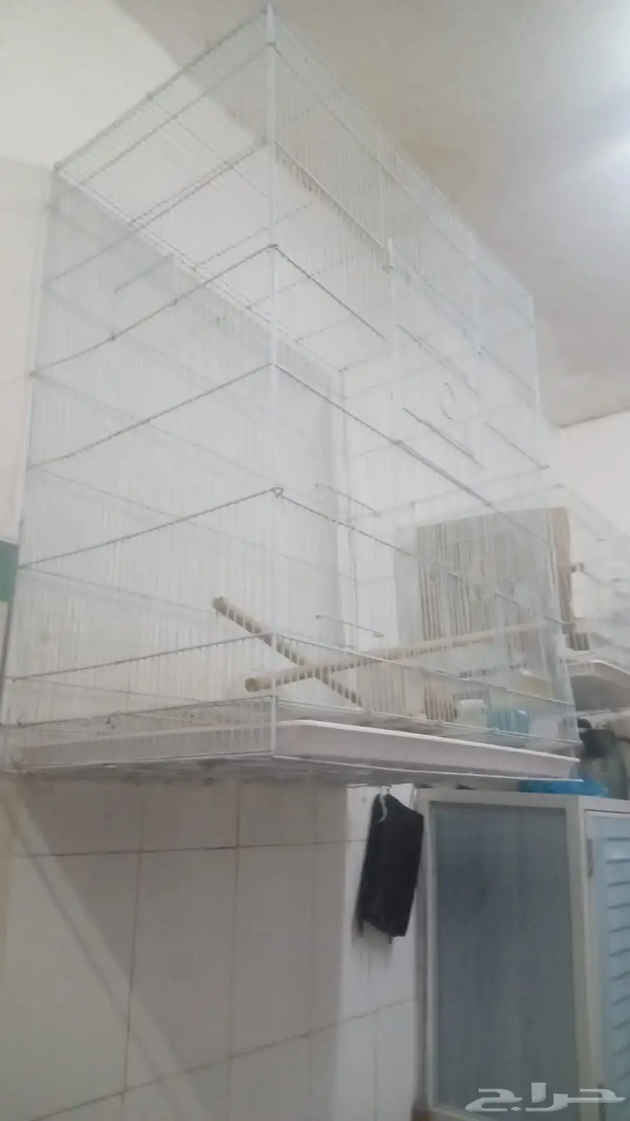 شبك ببغاء مستعمل نضيف 1