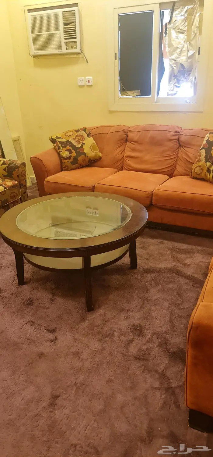 كنب امريكي 1