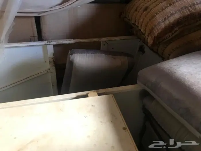 المدينة المنورة 1