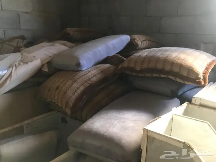 المدينة المنورة 0