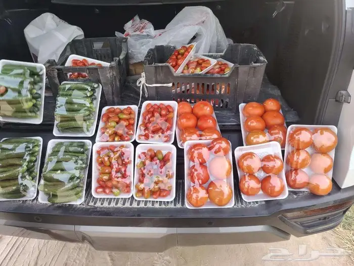خضار عضوي 0