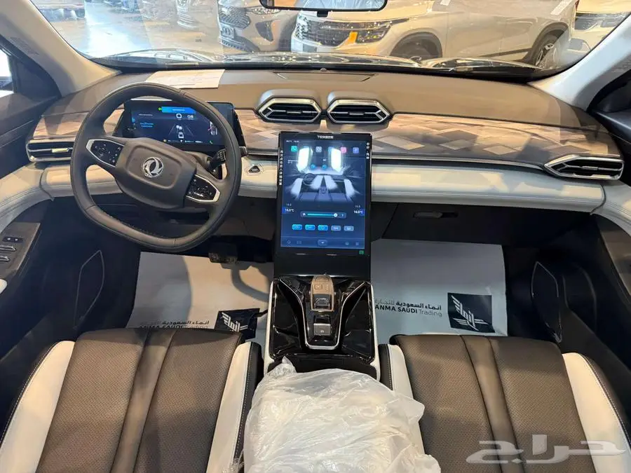 دونج فينج ميج 2025 11