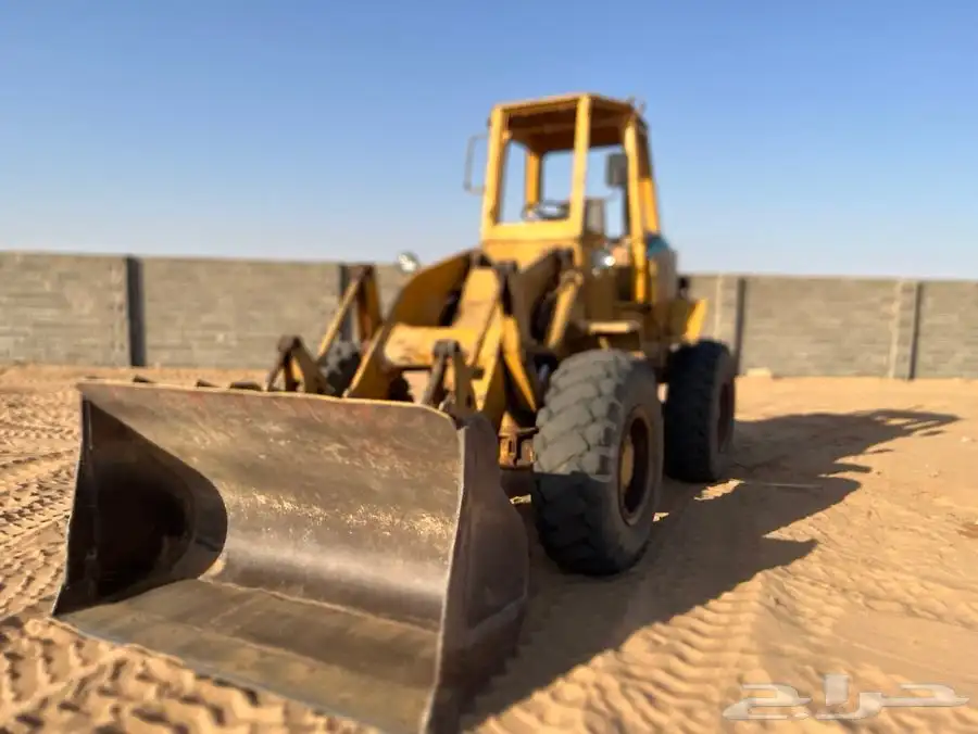 شيول للاجار البكيريه الشيحية ساق 0