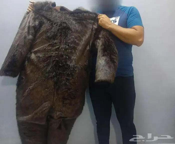 دمى لابوبو لطيفه (Labubu) اسنان مدببه اذنين طويلتين وجه عابس 7