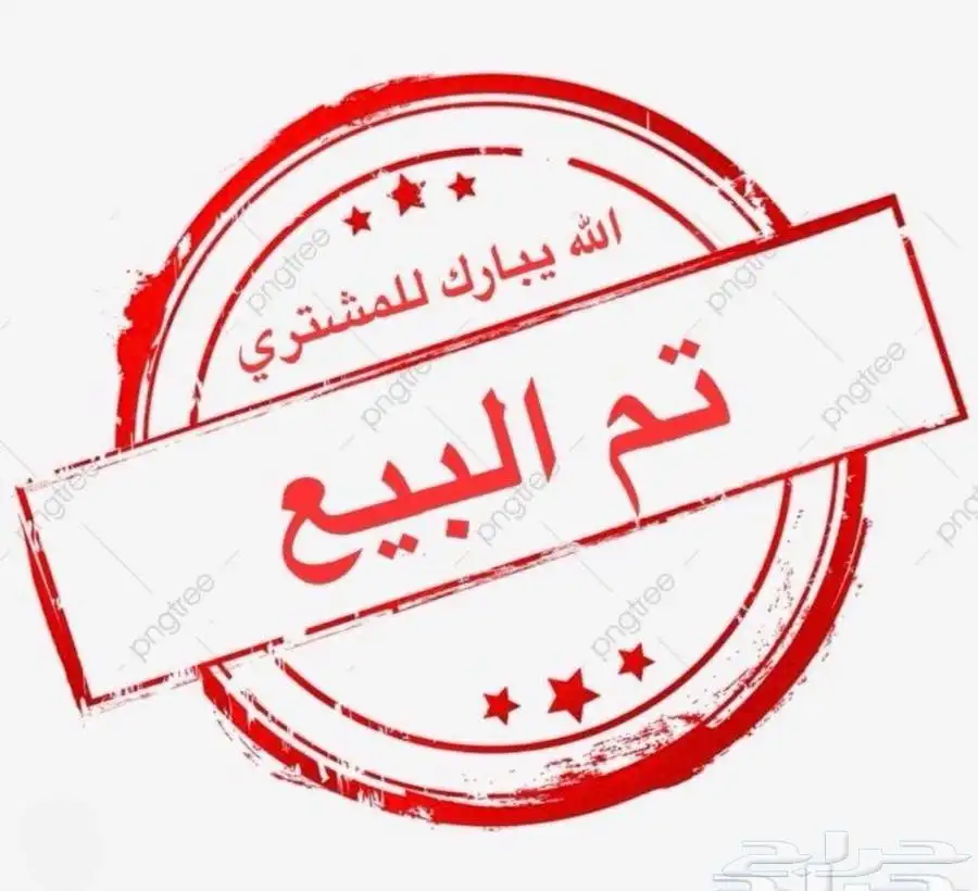 بادجي هولندي صحة 100 ( طيور الحب )مغردة 0