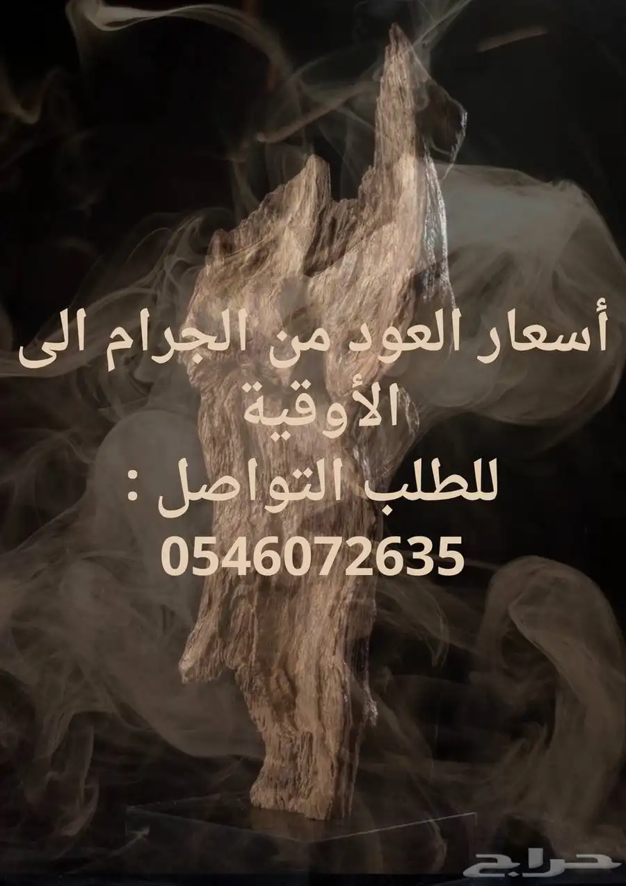 عود طبيعي 100 4