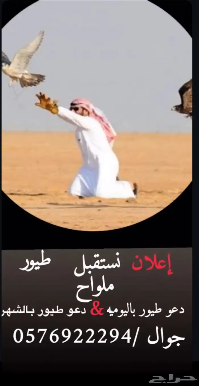 تجهيز طيور للموسم القادم نستقبل جميع الطيور 0