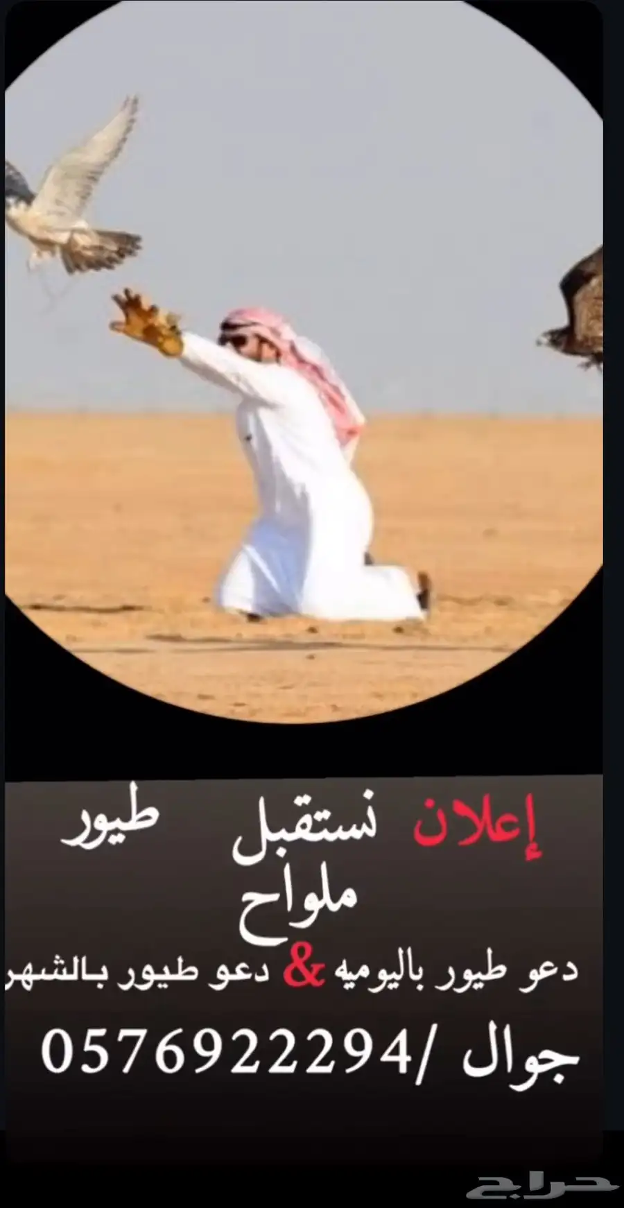 تجهيز طيور للموسم القادم نستقبل جميع الطيور 0