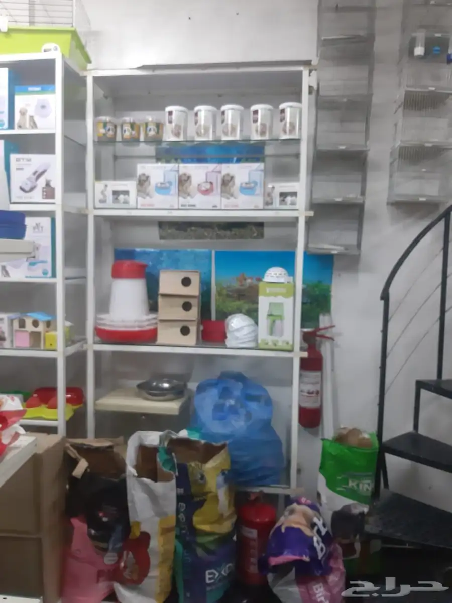 محل سمكتي للبيع او التقبيل 25