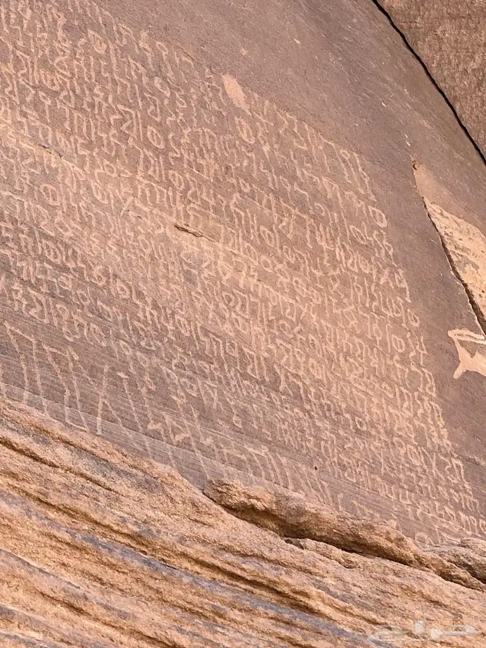 مرشد سياحي الربع الخالي نجران 38