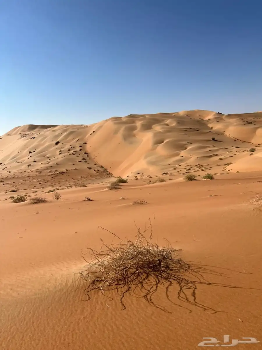 مرشد سياحي الربع الخالي نجران 8