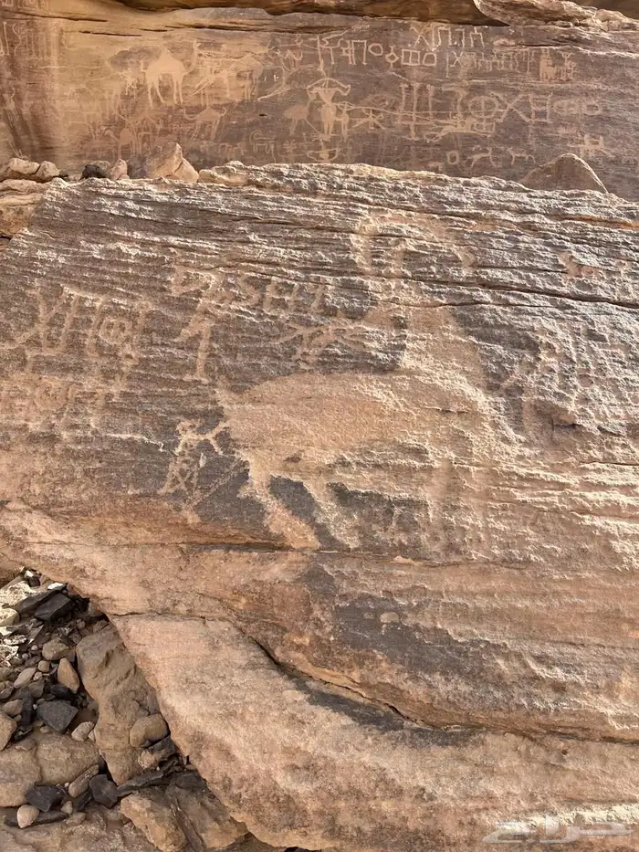 مرشد سياحي الربع الخالي نجران 40