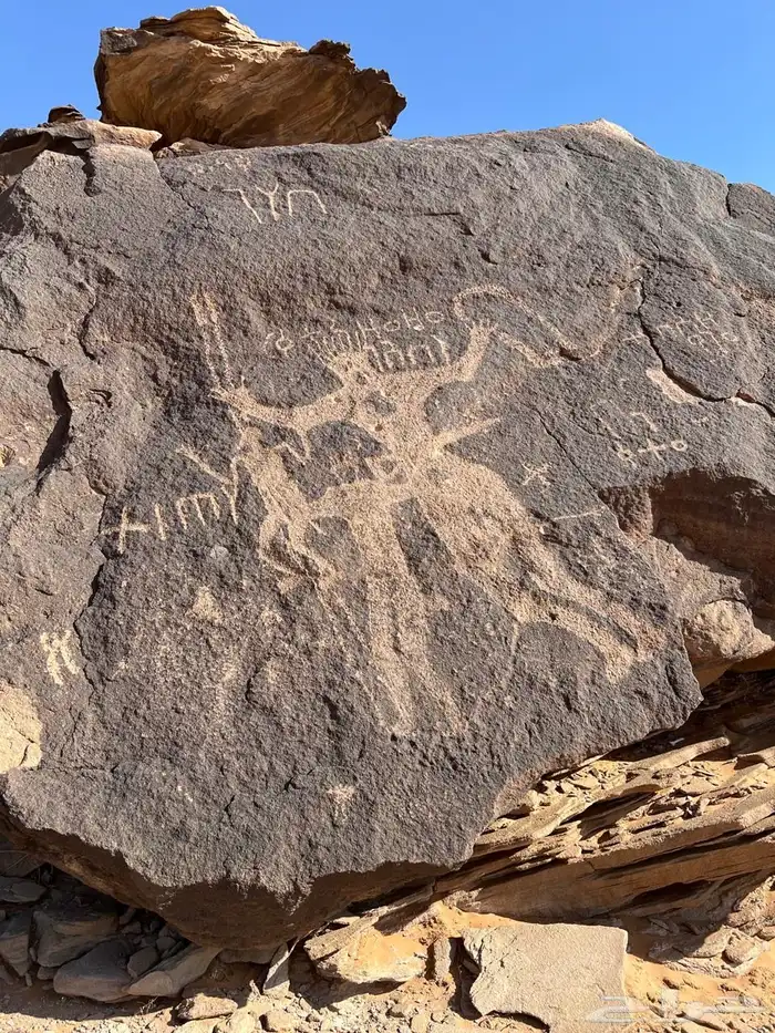 مرشد سياحي الربع الخالي نجران 0