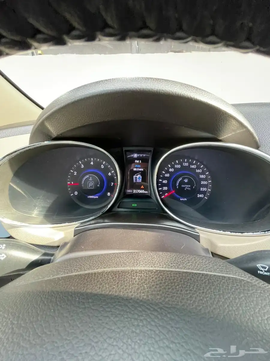 سنتافي 2013 4