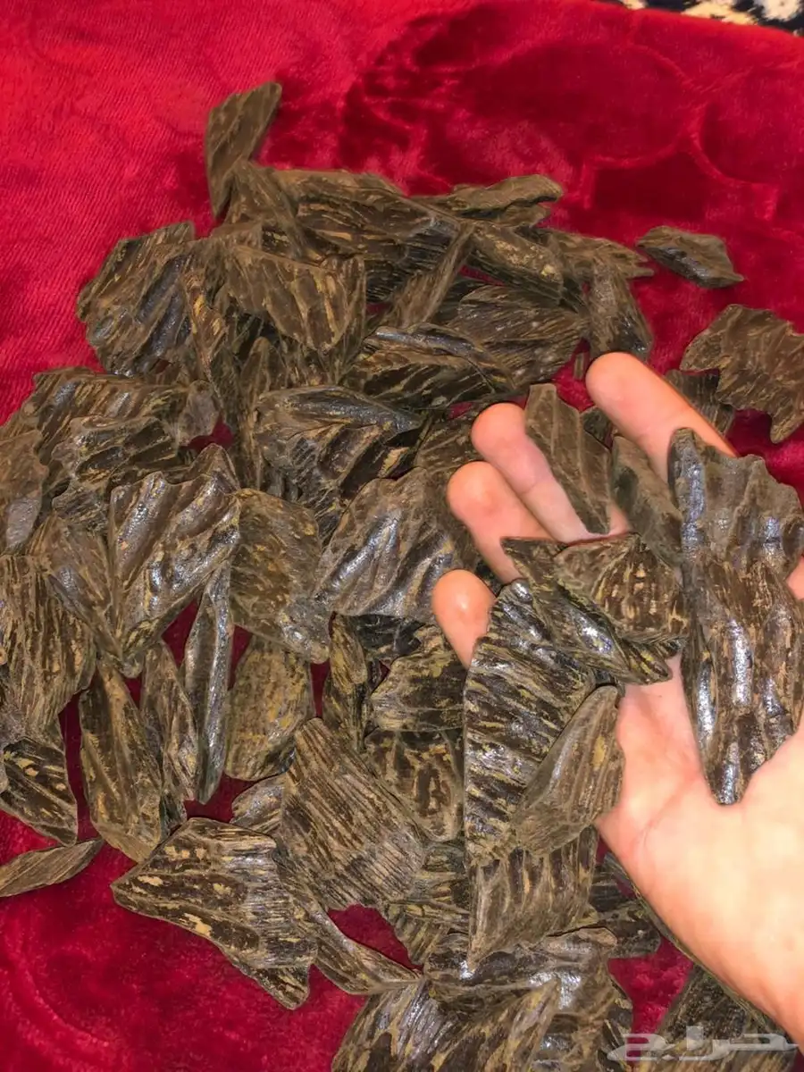 عوده فاخره 3
