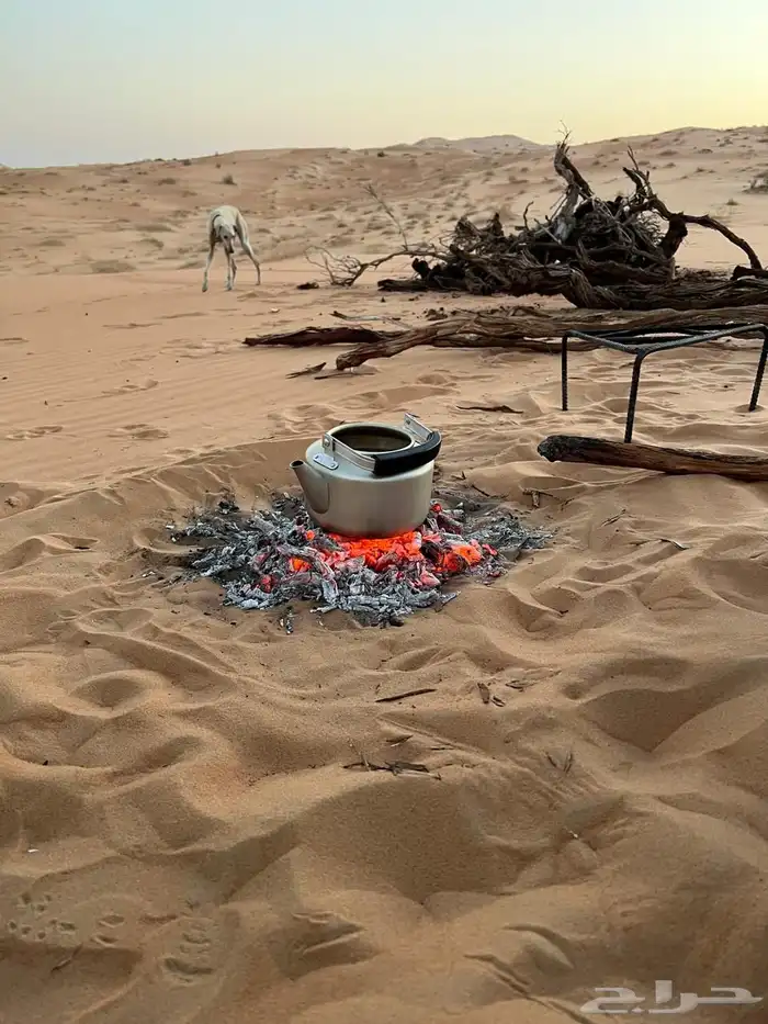 مرشد سياحي الربع الخالي نجران 6