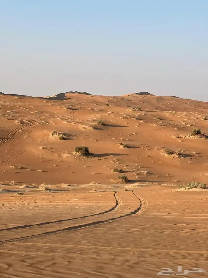 مرشد سياحي الربع الخالي نجران 4