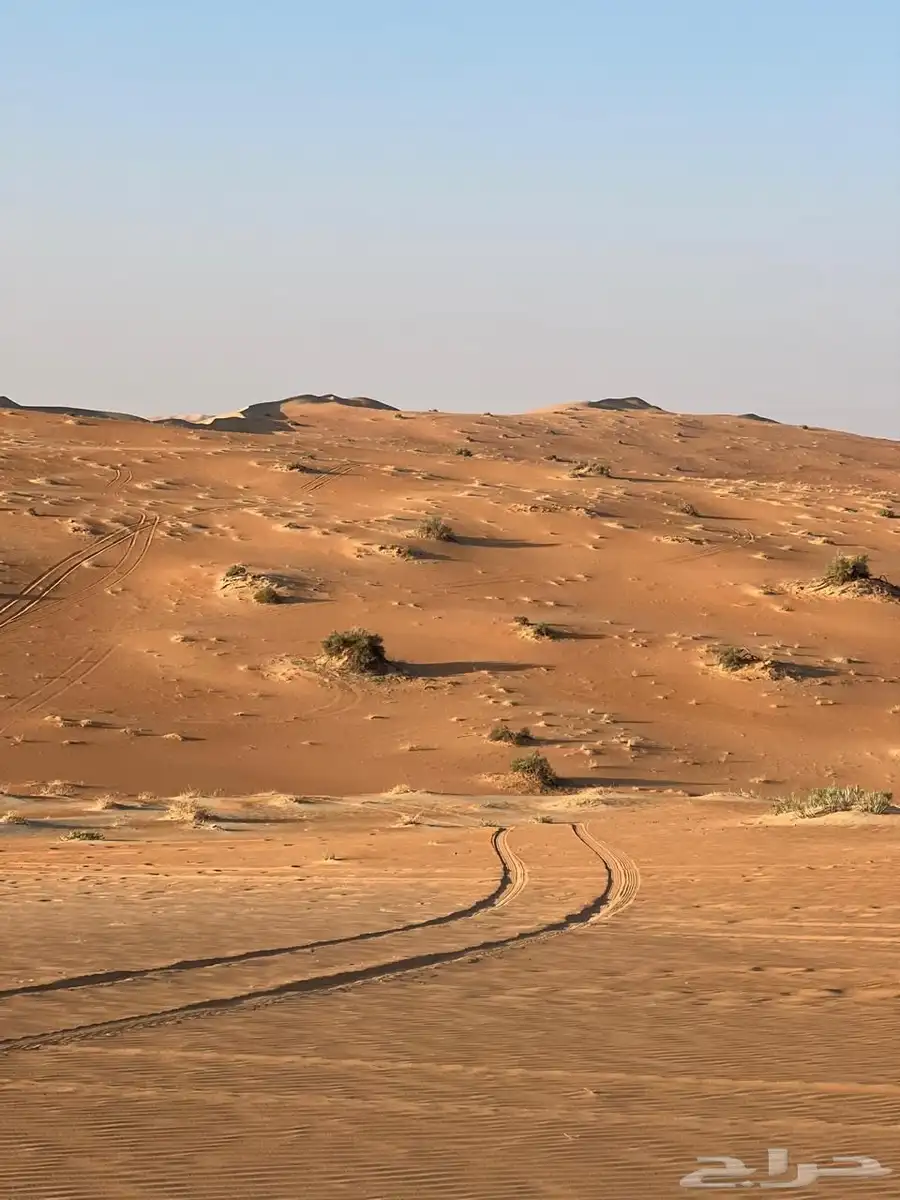 مرشد سياحي الربع الخالي نجران 4