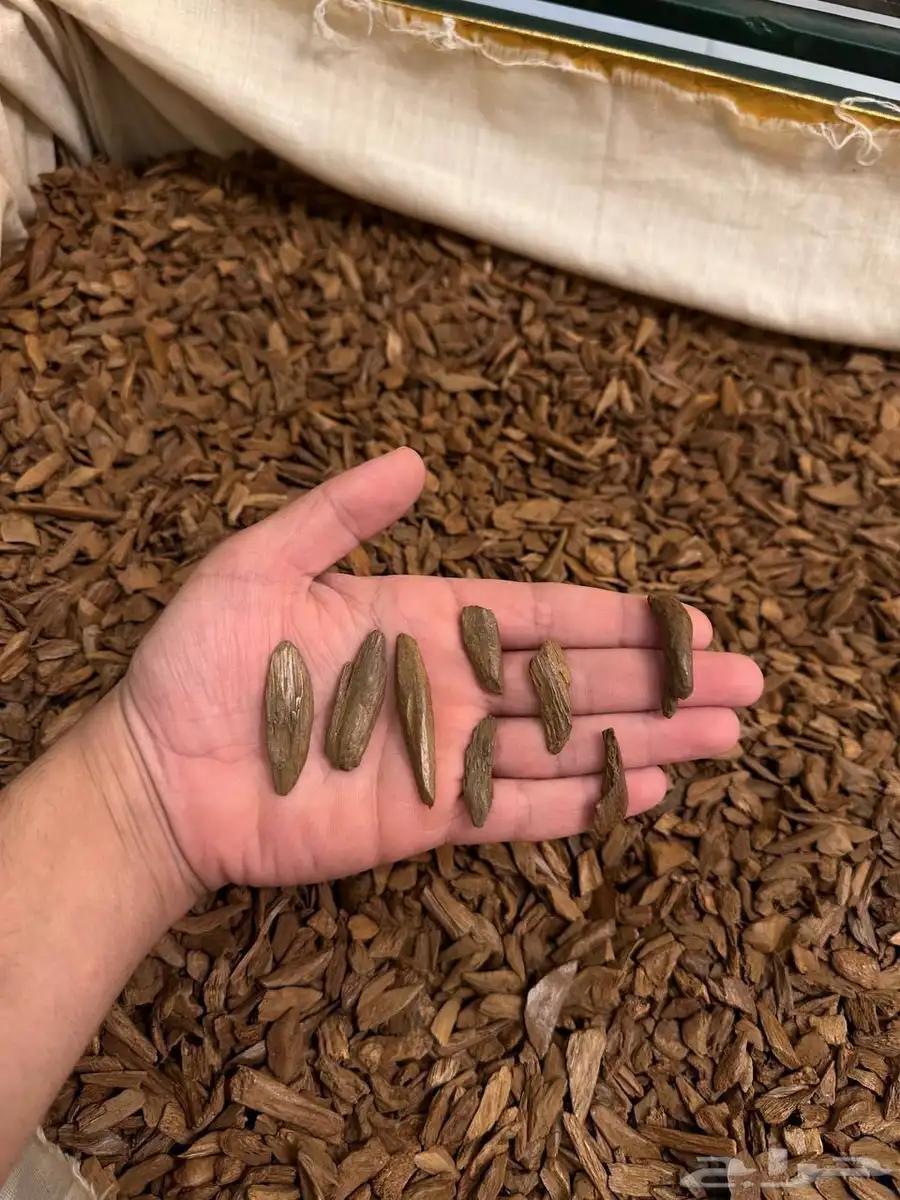 عود مروكي دبل سوبر مني ميكرو 0