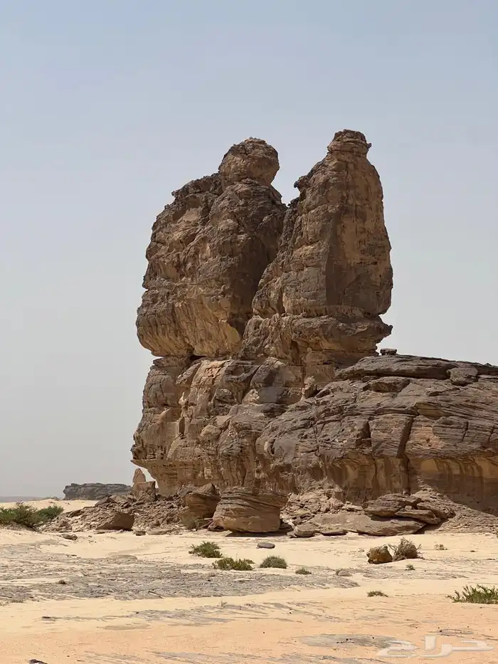 مرشد سياحي الربع الخالي نجران 28