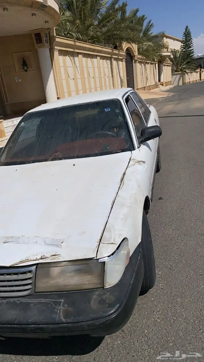 كرسيدا لا البيع 5