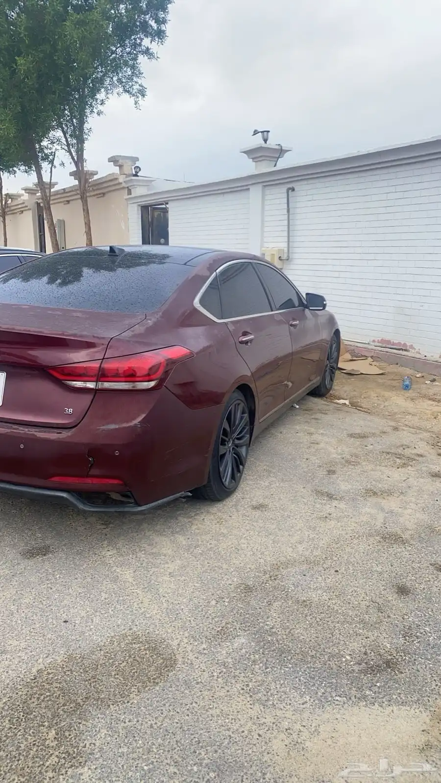 جينسس 2015 2