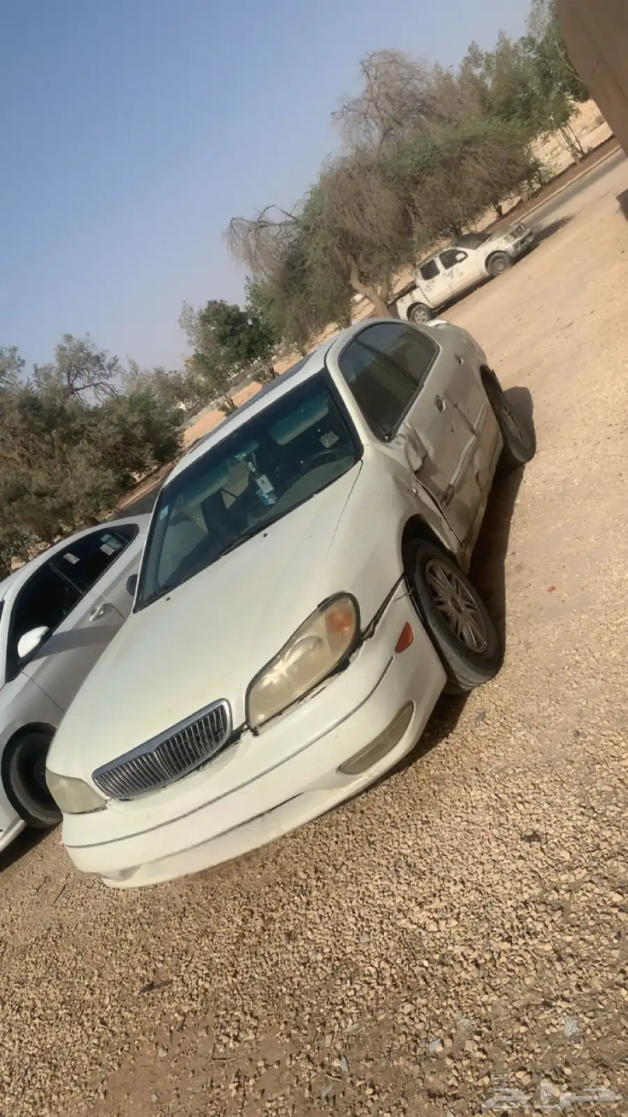 مكسيما 2001 للبيع 3