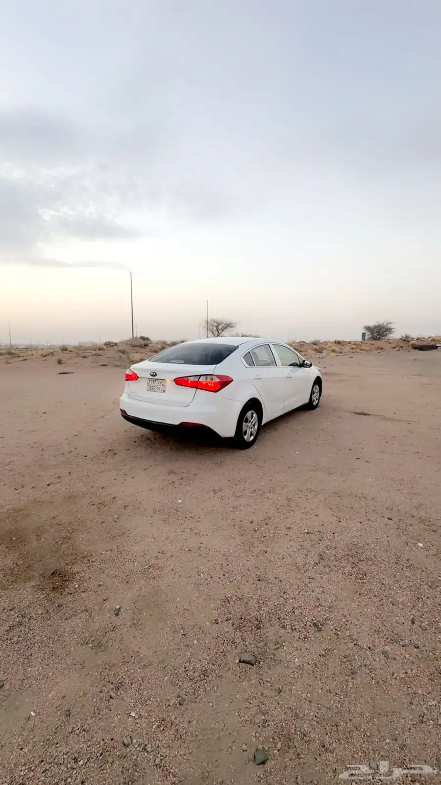 سيراتو 2015 للبيع 6