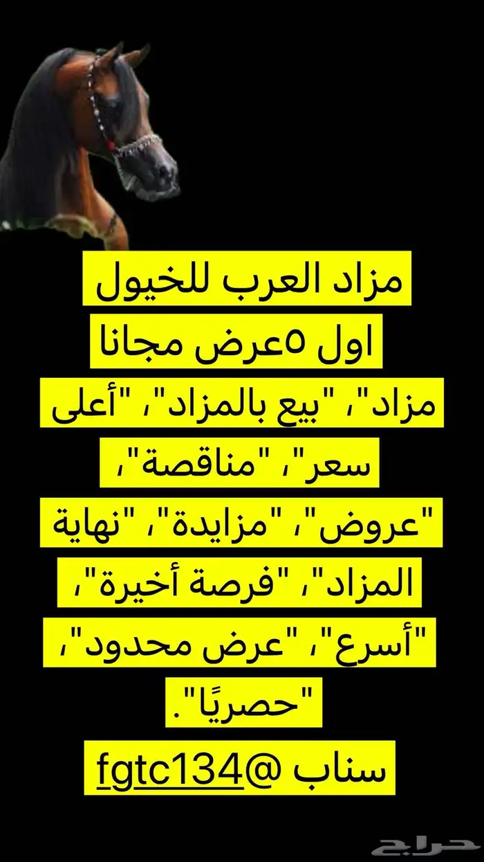 مزاد اول 5مجانا 0