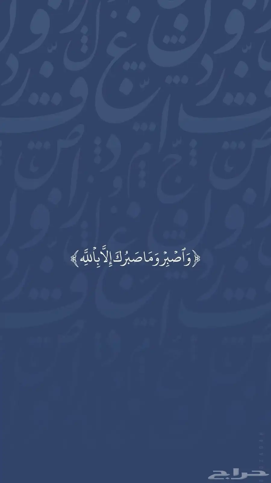 مطلوب شىقق عزاب في حي النور او النابيه 0