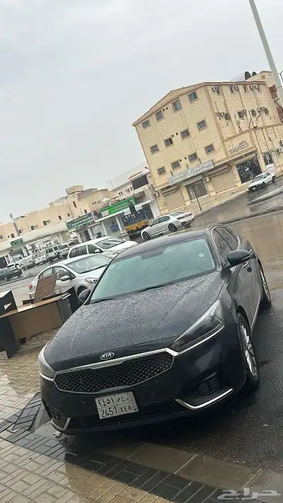 كادينزا 11