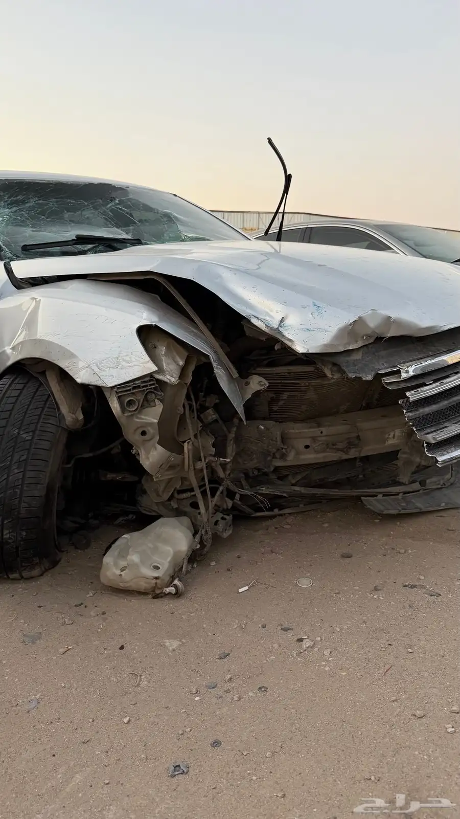 تورس 2015 4
