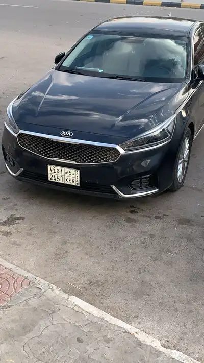 كادينزا 12