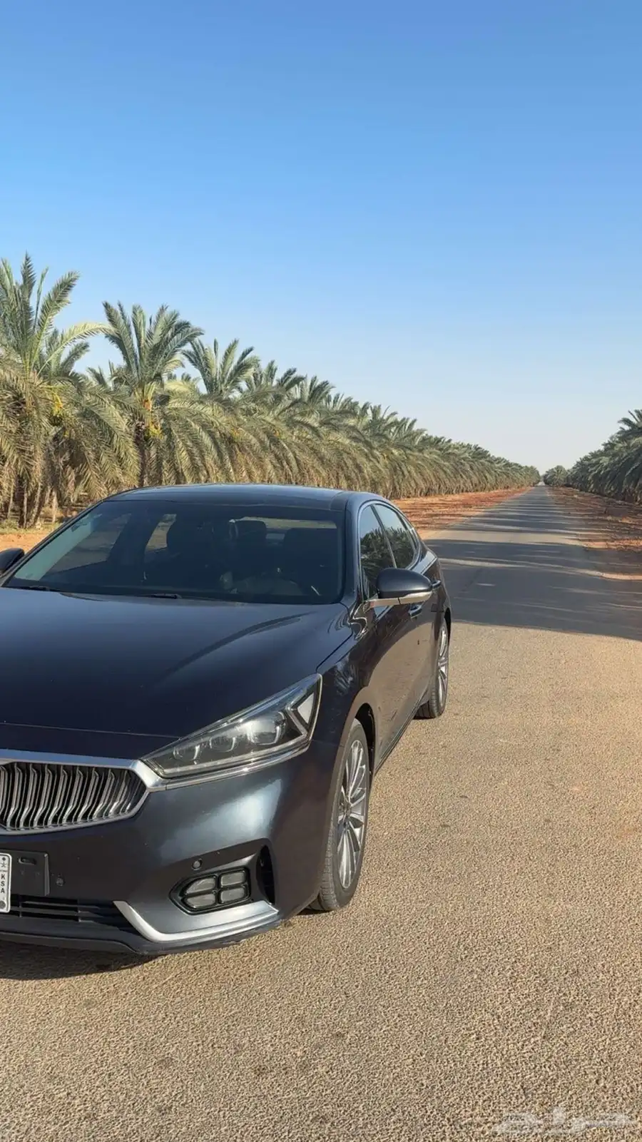 كادينزا K7 ديزل 1