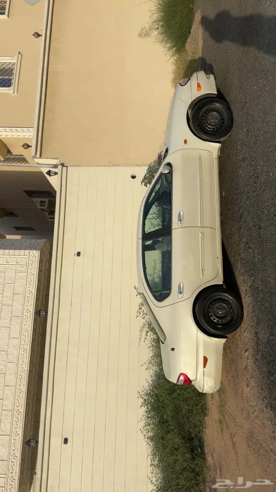 مكسيما 2002 1