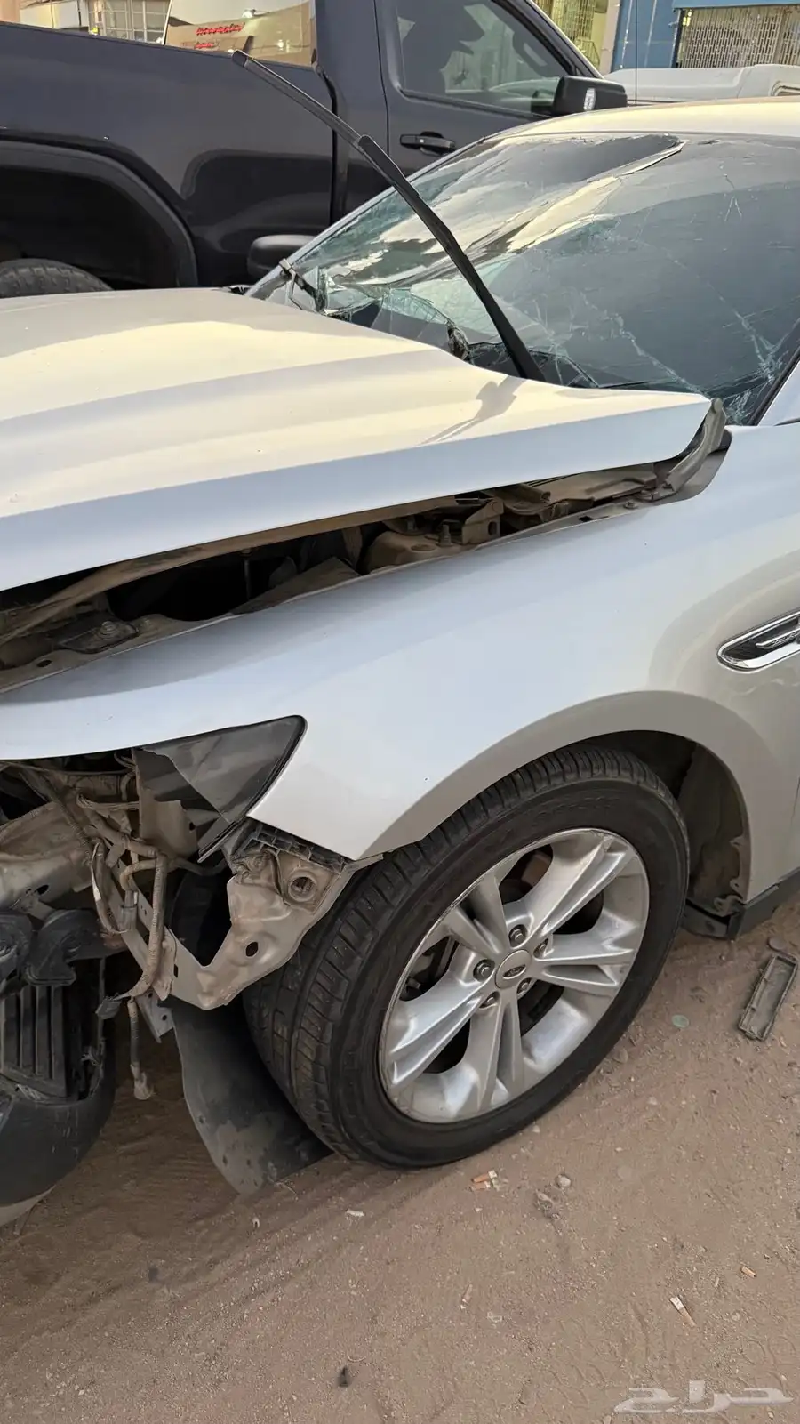 تورس 2015 5
