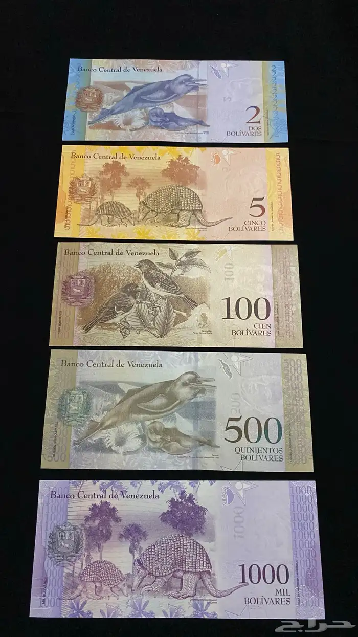 اجمل عملات العالم 2