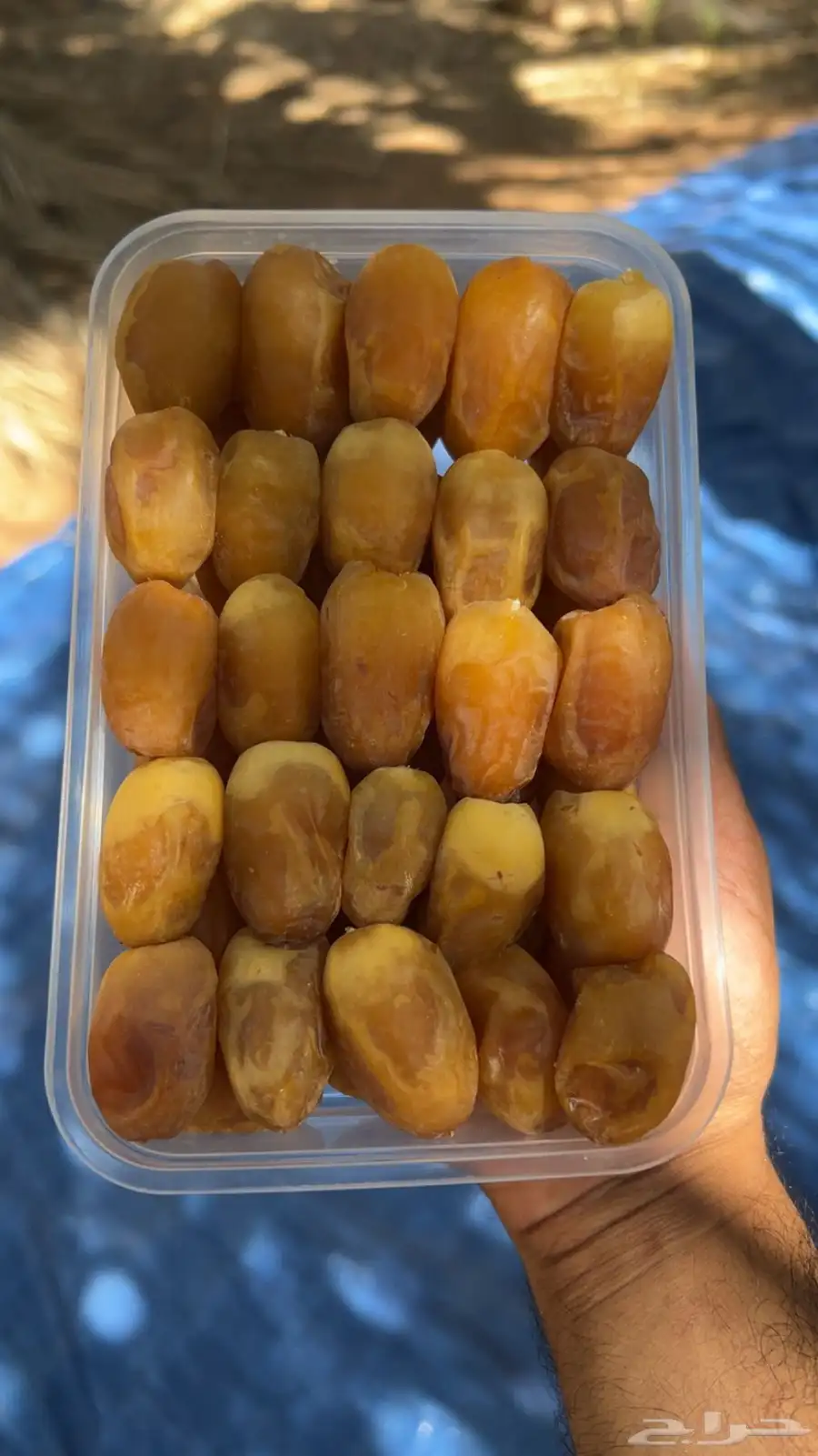 تمر خلاص 2