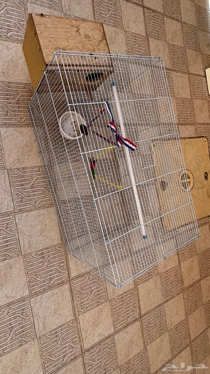 قفص طيور 2
