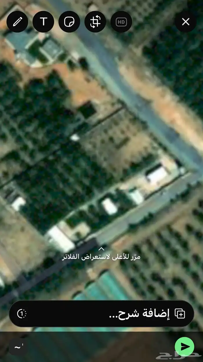 اللسيب نخيل وطيور تربيه موقعنا ا 4