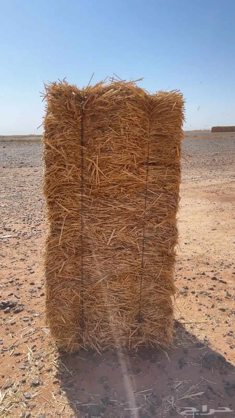 تبن قمح شد شركة الطول متر 1
