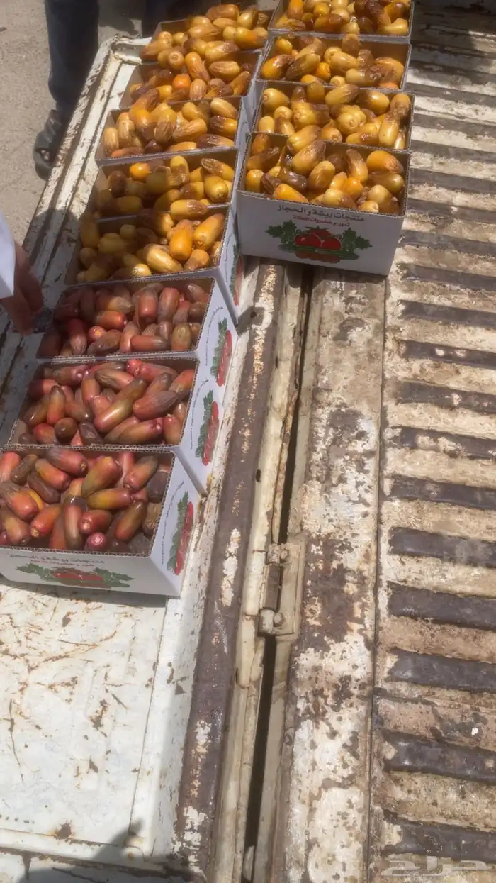 خرفه 4