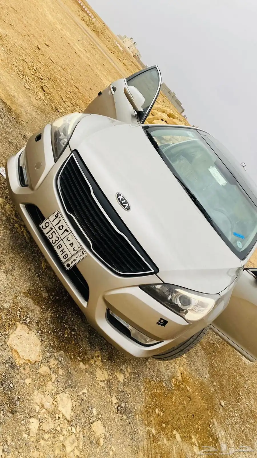 كادينزا 0