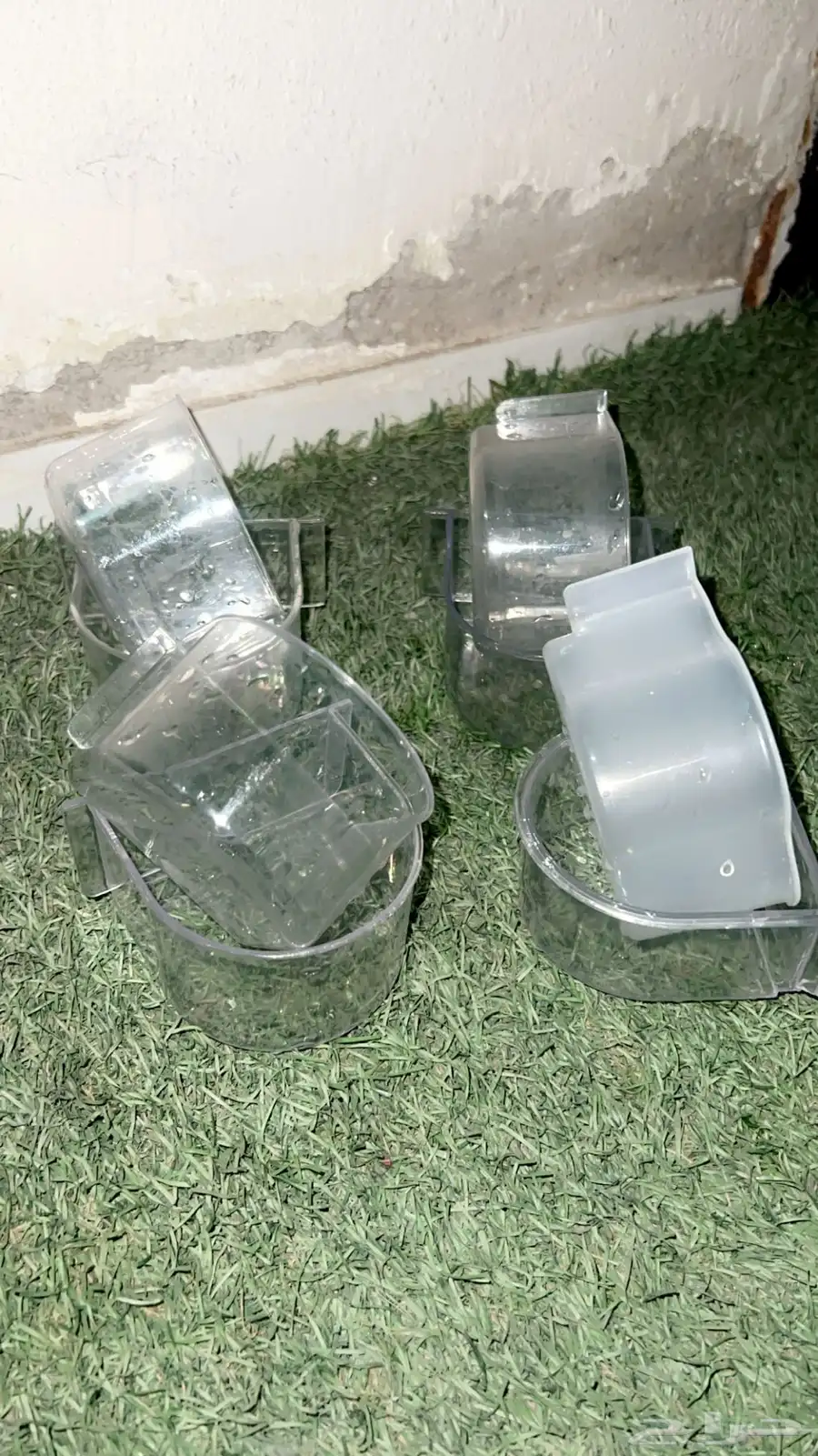 مستلزمات للطيور 3