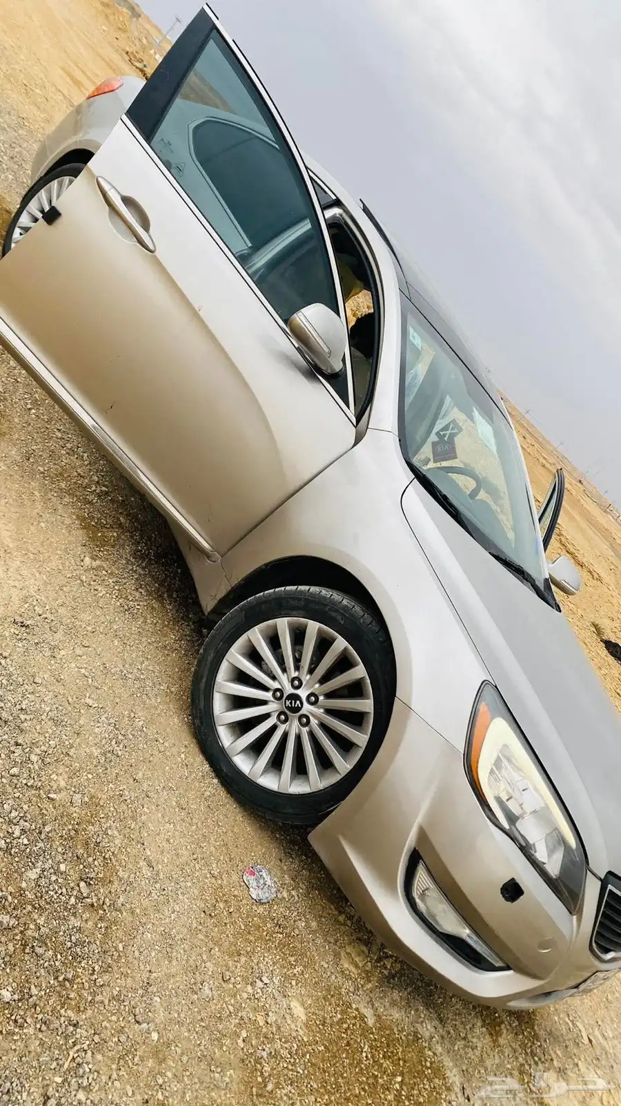 كادينزا 1